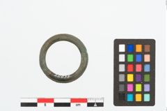 Foto von Bronzering (NHMW-PRAE-026638)